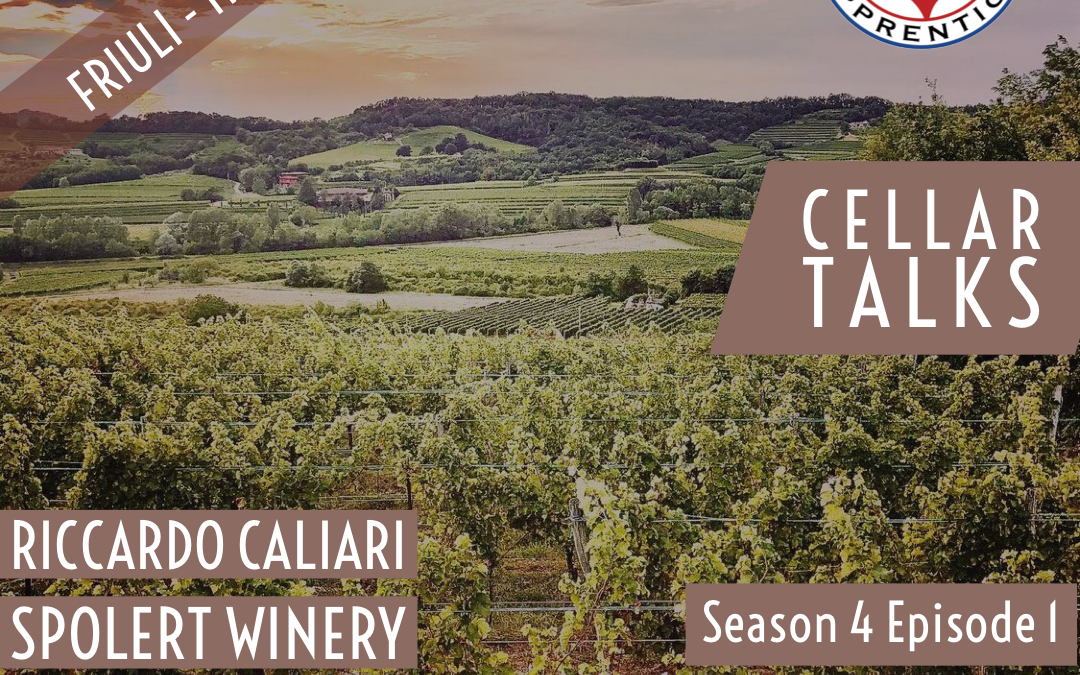 [Cellar Talks] S04E01 Spolert Winery – Riccardo Caliari