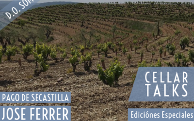 [Cellar Talks] Ediciones Especiales – Ep. 6 Pago de Secastilla