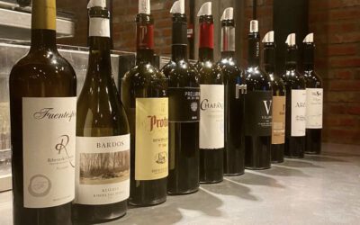 Ribera del Duero Blind Tasting