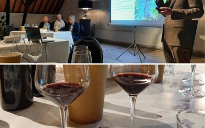 Pallas Wines Terroir Day 2023: Sangiovese