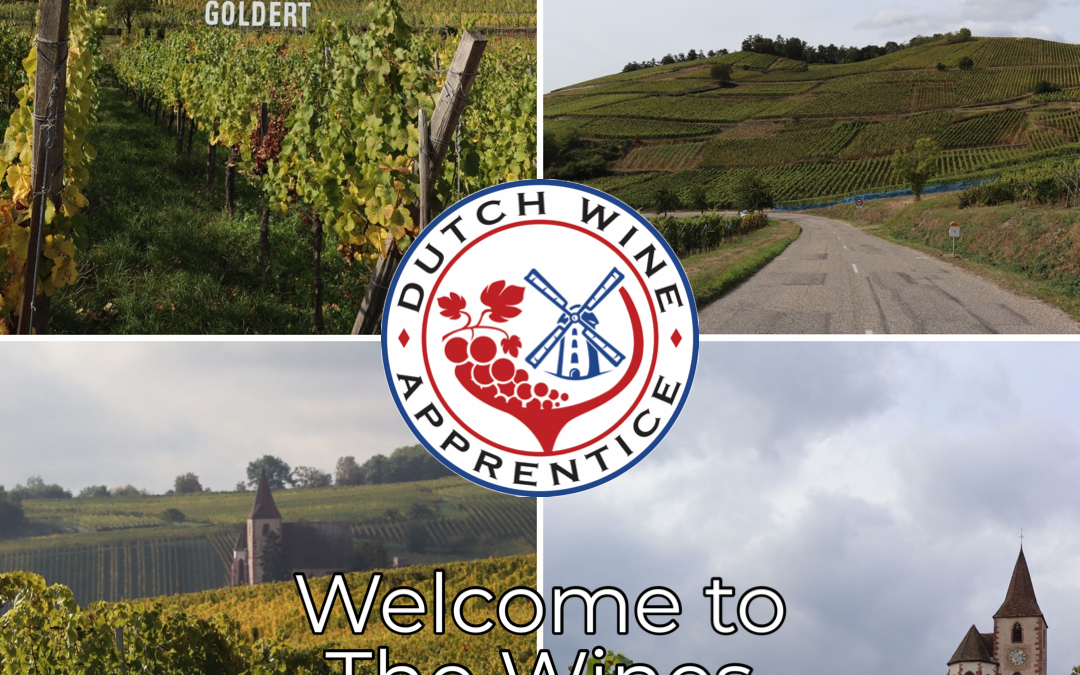Welcome to The Wines of Alsace