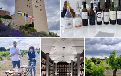 Exploring the Enchanting Elegance of Spain’s Ribera del Duero