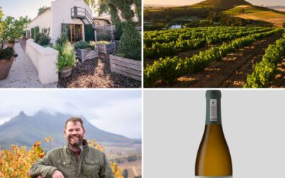 The Evolution of the Warwick Winery: A Tale of Heritage and Progress