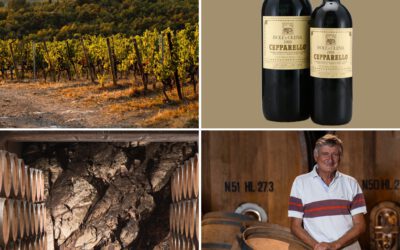 Paolo De Marchi’s Legacy: Elevating Chianti Through Isole Olena