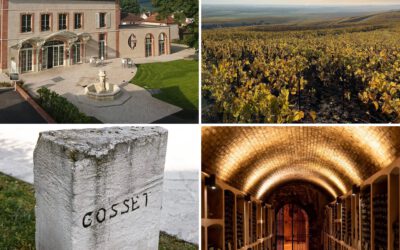 Discovering the Legacy of Champagne Gosset