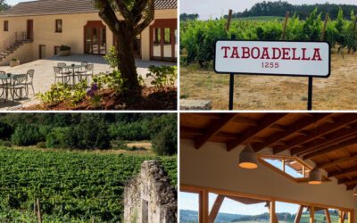 Taboadella: Amorim’s Star in Portugal’s Dão Wine Region