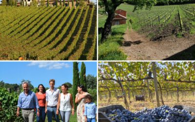 Discovering the Charm of Campania with Quintodecimo