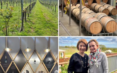 Effervescence of Excellence: Gusbourne’s Path to Prestige