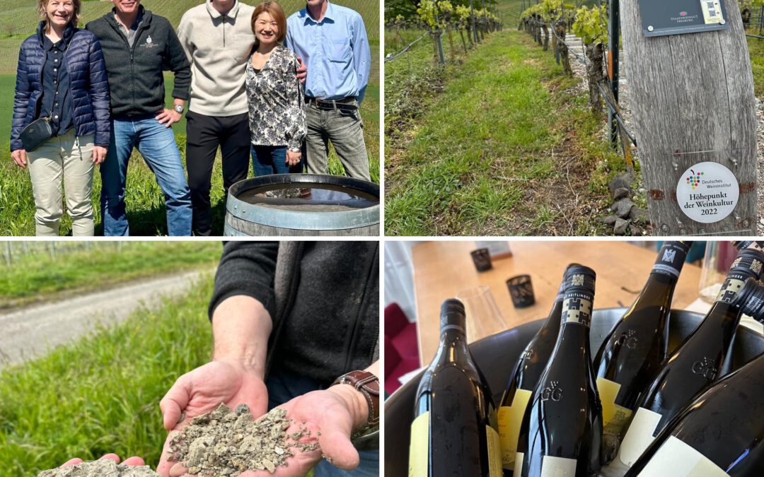 Baden Unveiled: Exploring Germany’s Sun-Kissed Wine Region