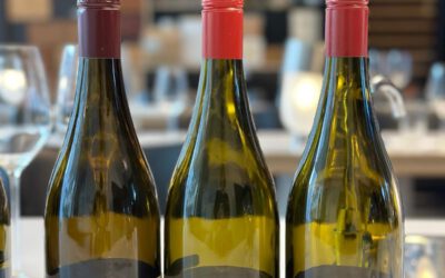 Exploring Cool Climate Wines: The Journey of Norman Hardie