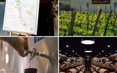 2023 Bordeaux: A Year of Complexity and Promise