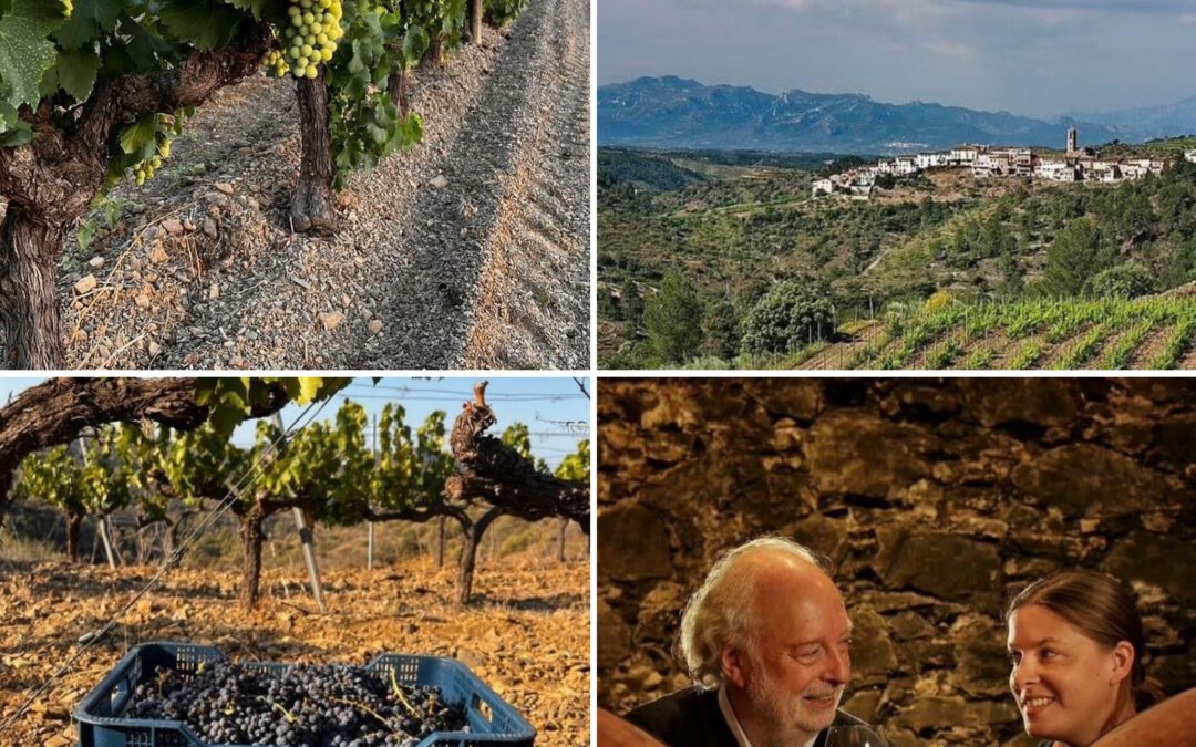 Clos Figueras and the Renaissance of Priorat