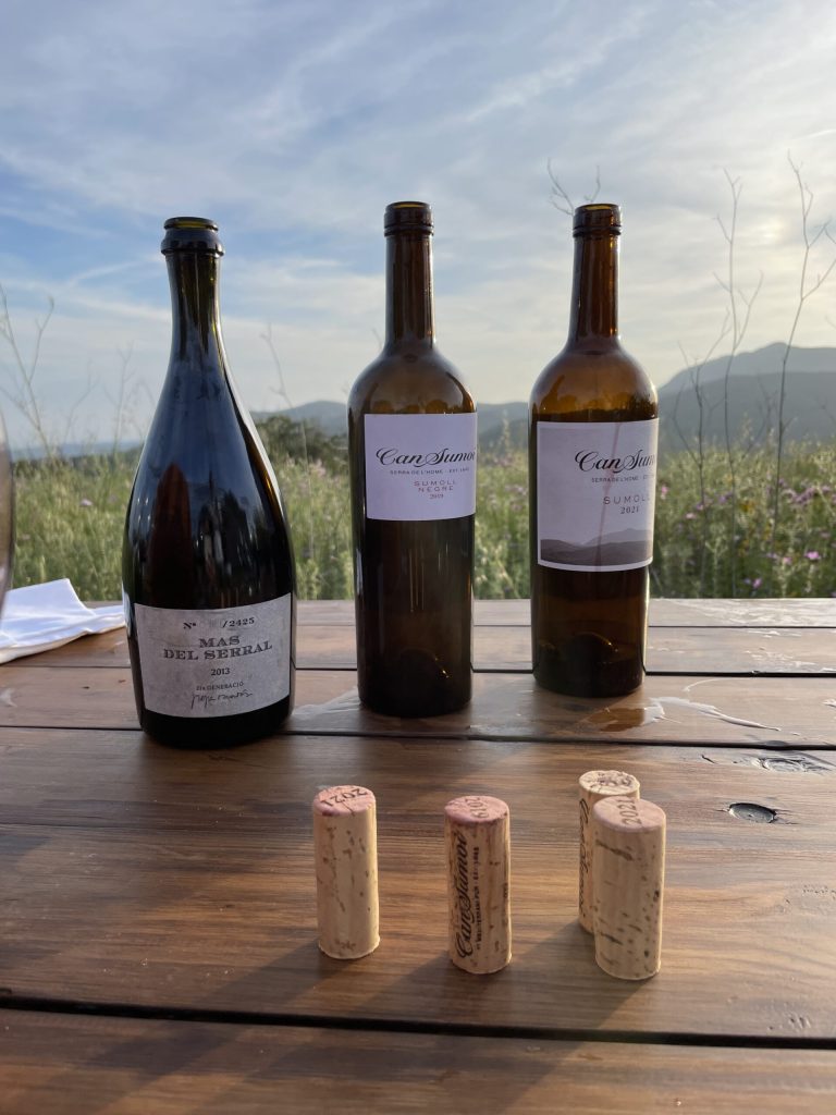 The Wines Selection for the Tasting at Can Sumoi.