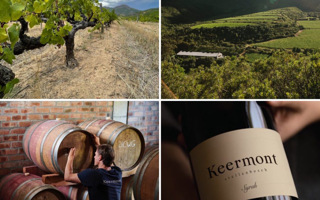 Keermont Vineyards, Where Mountains Meet