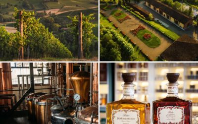 Distilleria Berta’s Reign as the True Amaretto Artisans