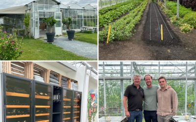 Wine Storage in a Greenhouse: Stadsjochies