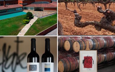 Exploring Bodega Enate: Where Art Meets Exceptional Winemaking