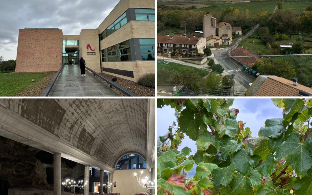 Exploring the Hidden Wine Treasures of Navarra and Somontano