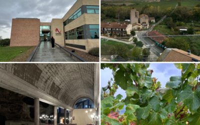 Exploring the Hidden Wine Treasures of Navarra and Somontano