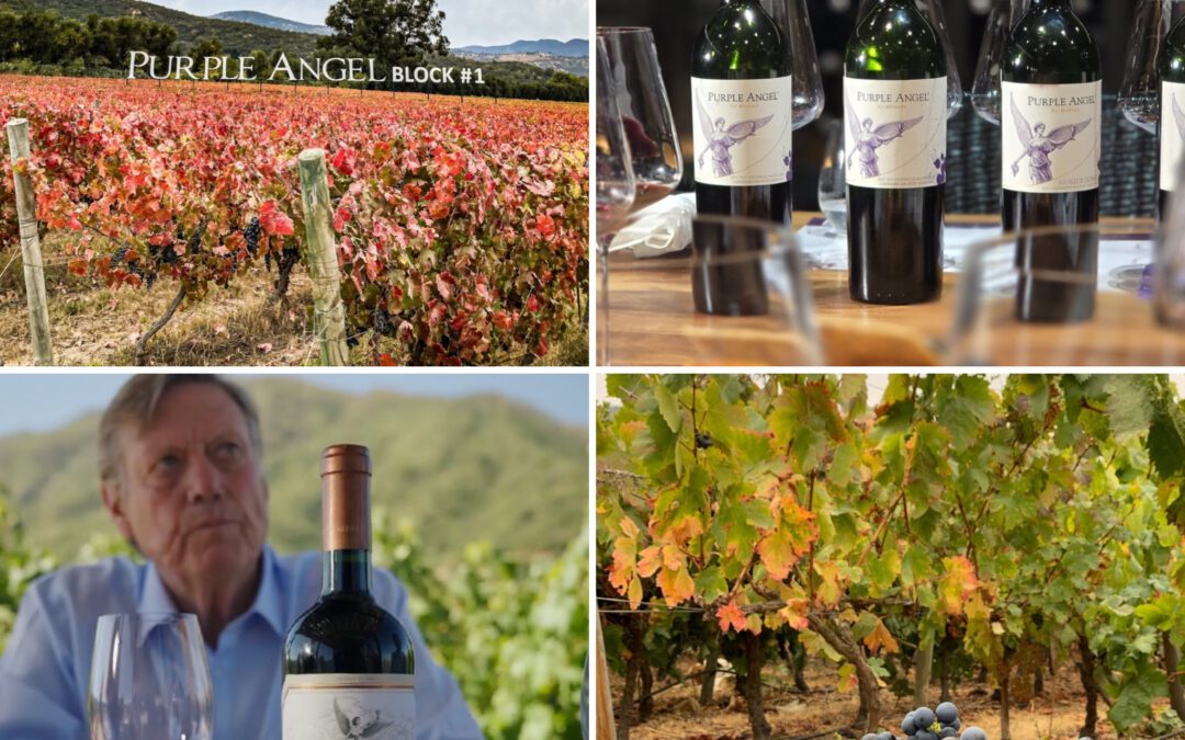 Montes Winery Celebrates 30 years of Carménère