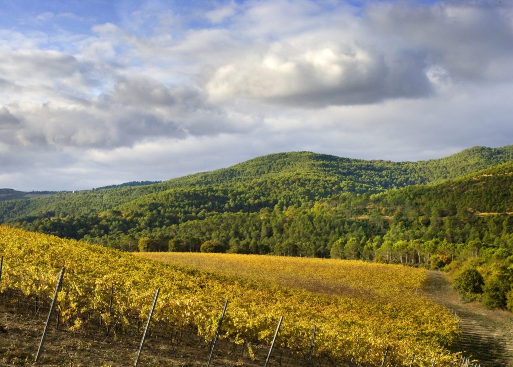 The Beautiful Land of Navarra.
