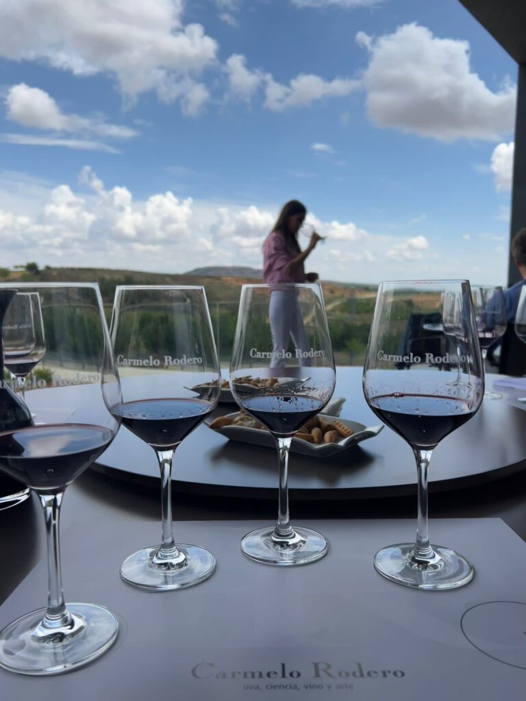 Tasting on the terrace overlooking the vineyards in 2023.