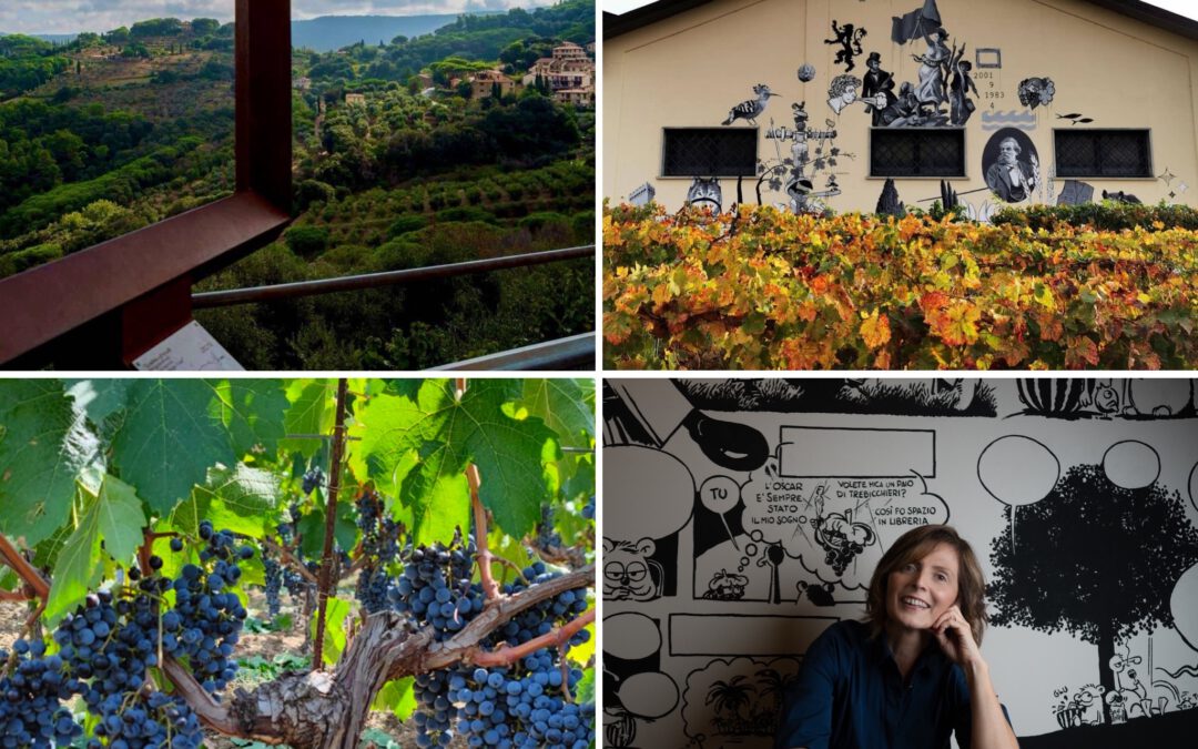 Le Macchiole: Innovation and Sustainability in Bolgheri