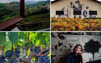 Le Macchiole: Innovation and Sustainability in Bolgheri