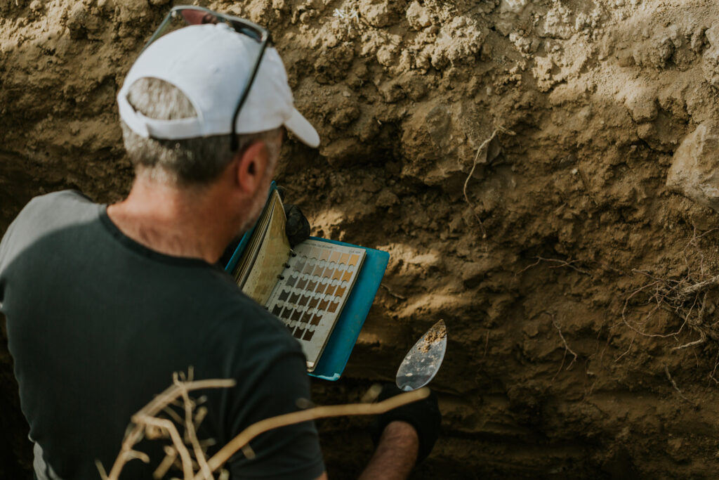 Extensive research shows great soil diversity in the vineyards.