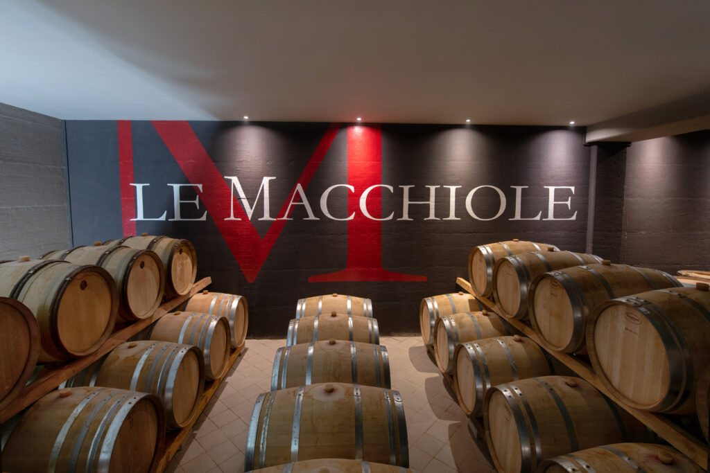 The Barrel Cellar of Le Macchiole.