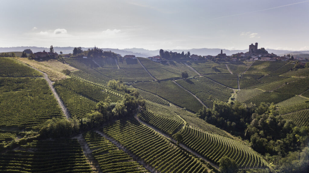 The Fontanafredda Estate with its Vineyards.