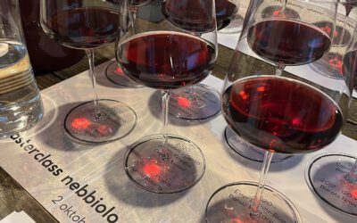 Nebbiolo –  Clear Insides on a Misty Grape