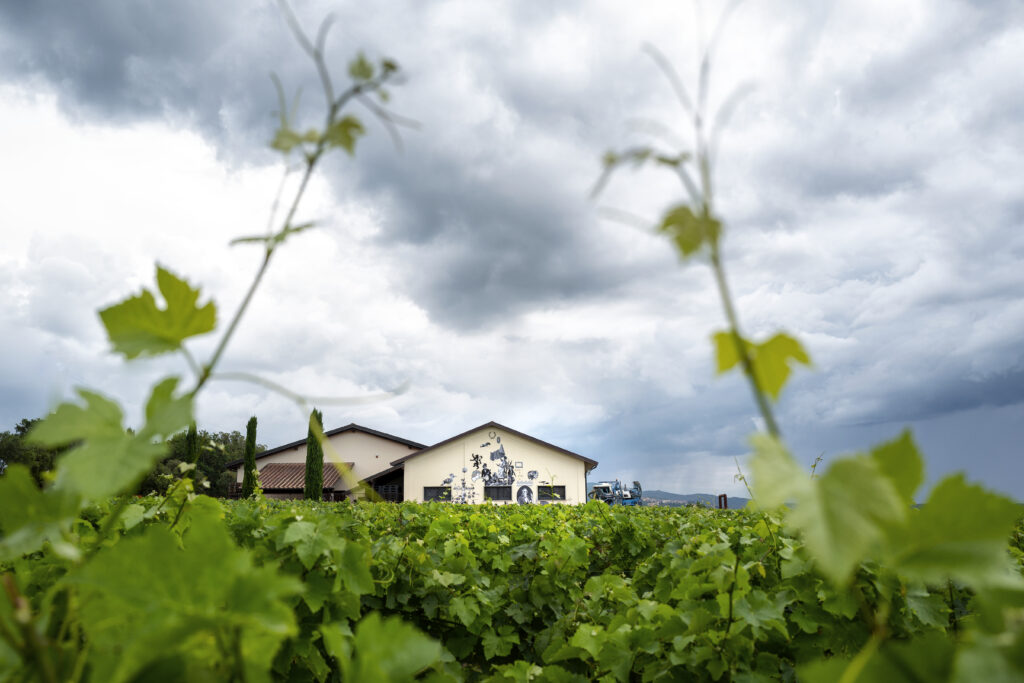 Le Macchiole, view of the winery.