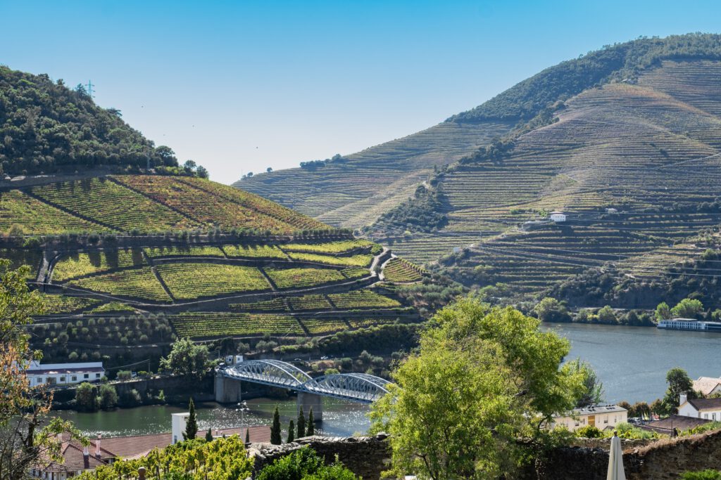 The Douro River and surrounding mountains creating recognizable beauty.