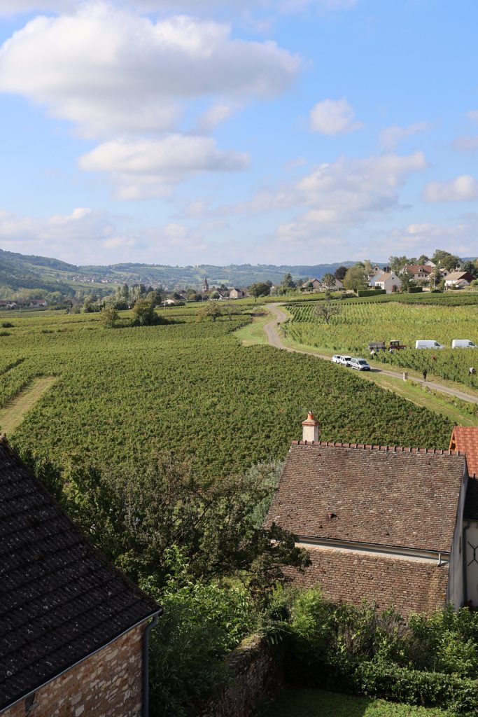 Vineyard view at Château de Chamirey.