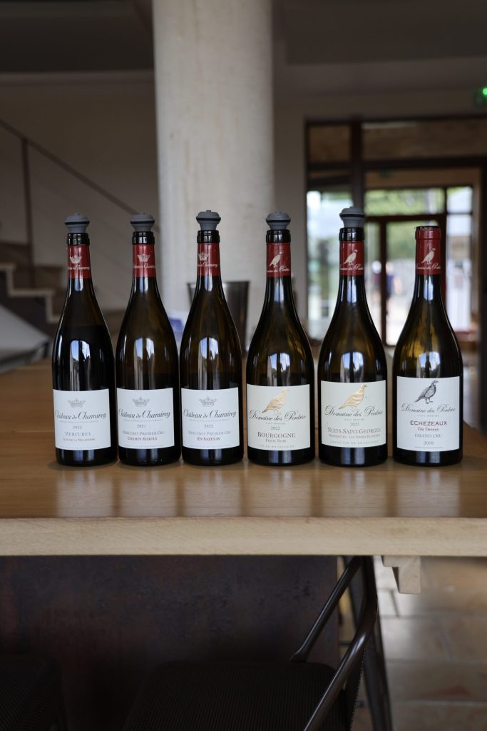 The 'Reds' during our Tasting.