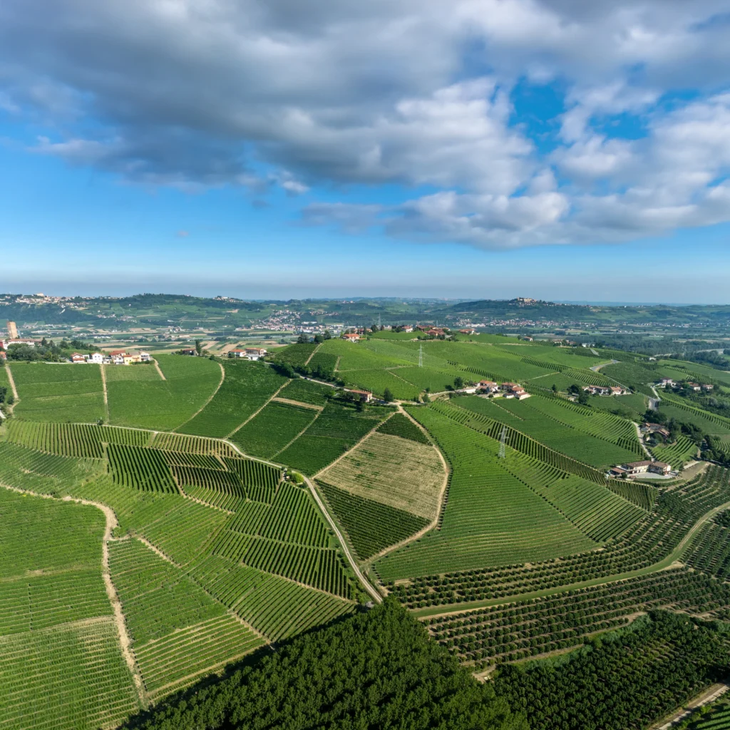 Overview of Cru Montefico.