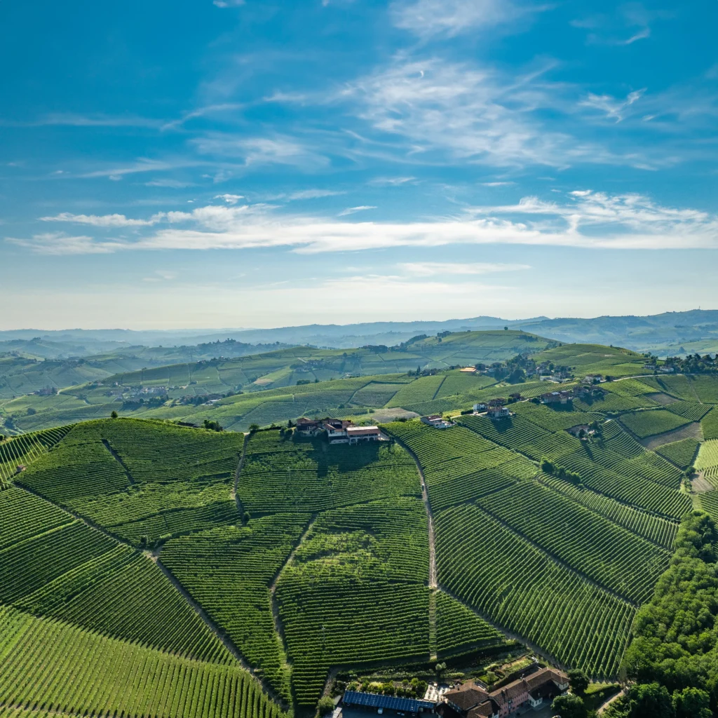 Overview of Cru Rabaja.