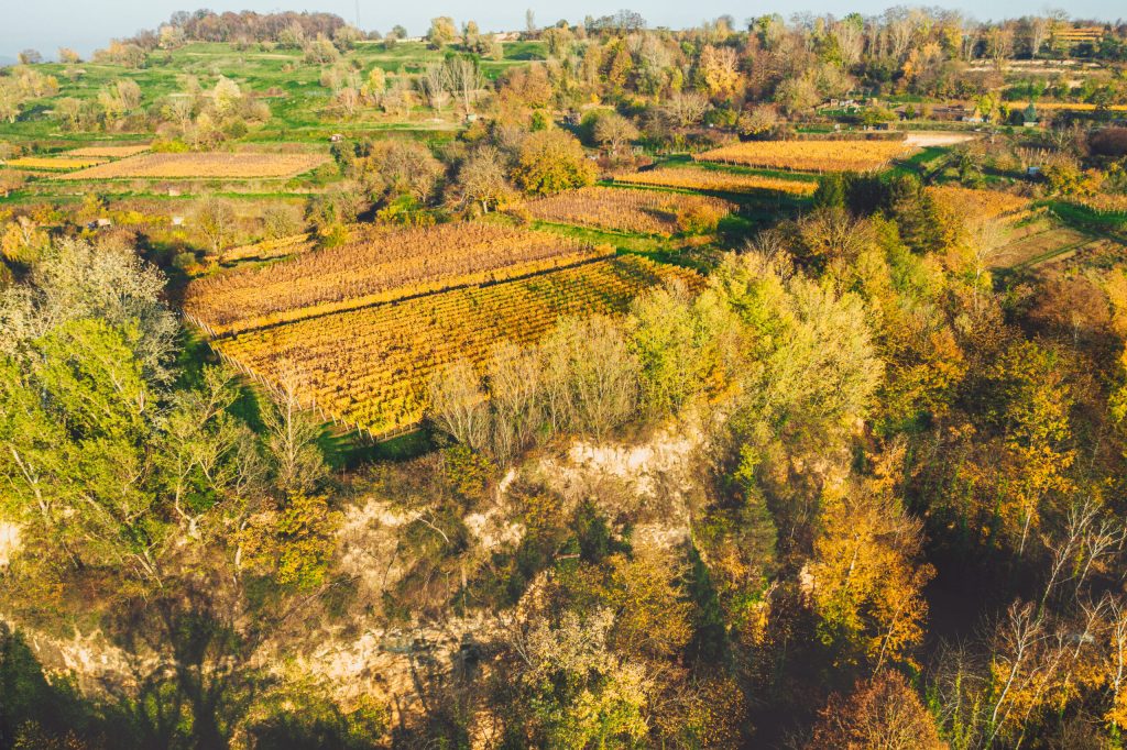 Viticulture is very site specific with the great variety of terroir at Wassmer.