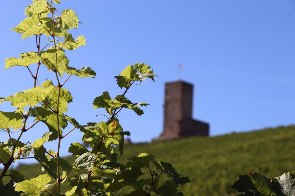 The storied past of the Alsace region has brought many changes over time.