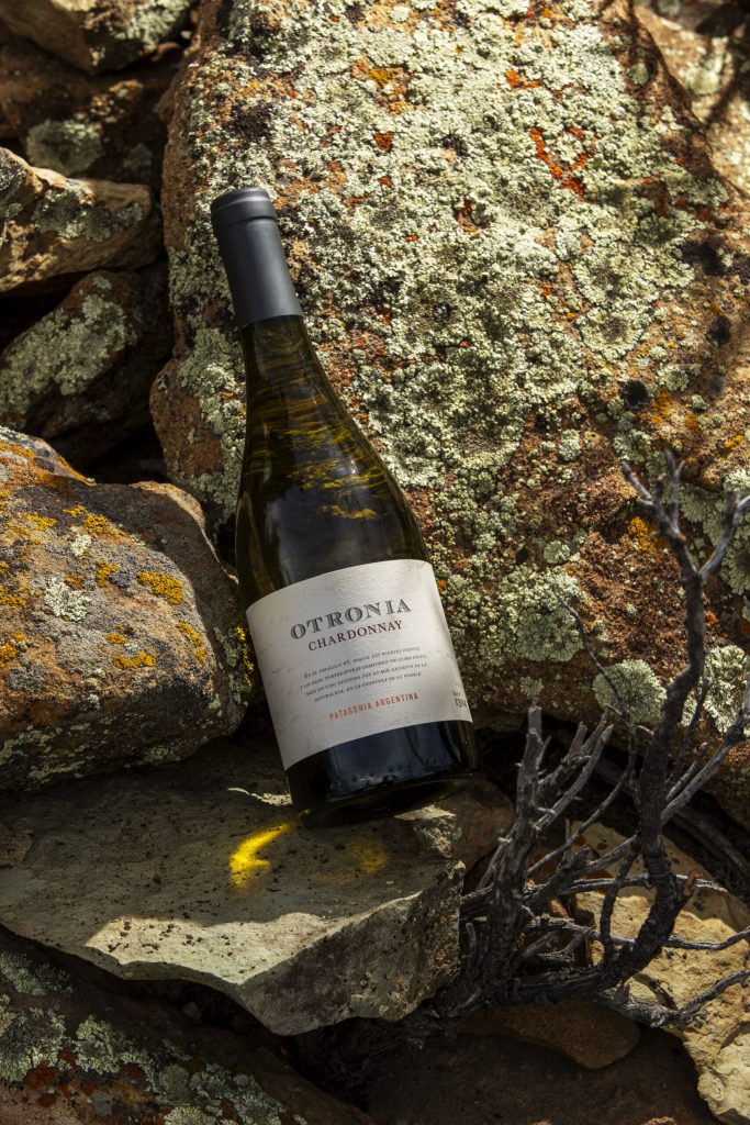 Chardonnay Organic Block 3 & 6.