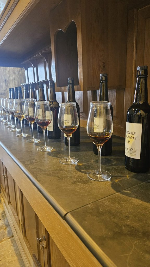 Tasting at González Byass.