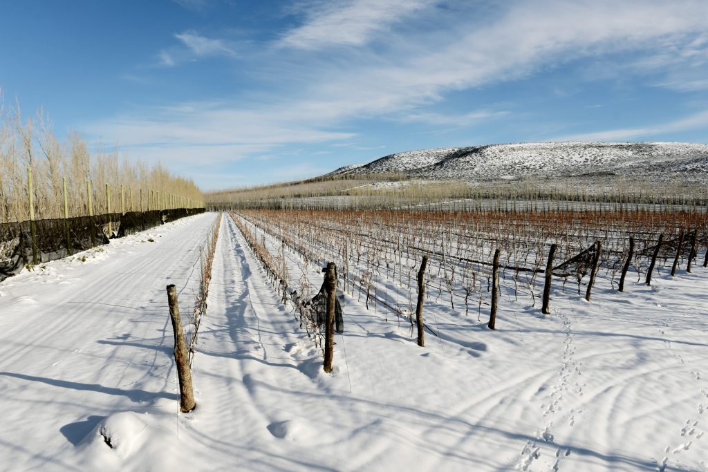 Otronia's Extreme Weather Circumstances.