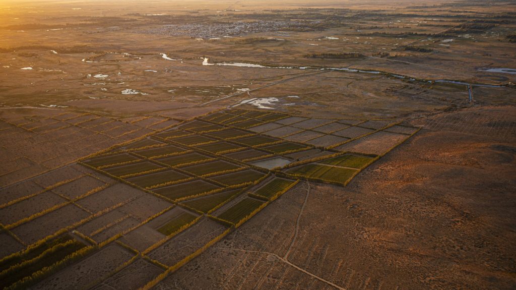 The Sierra Silva vineyard and its beautiful surroundings.