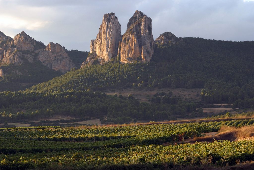 Diversity in Rioja's Terroir Allows for a wide range of Wines.