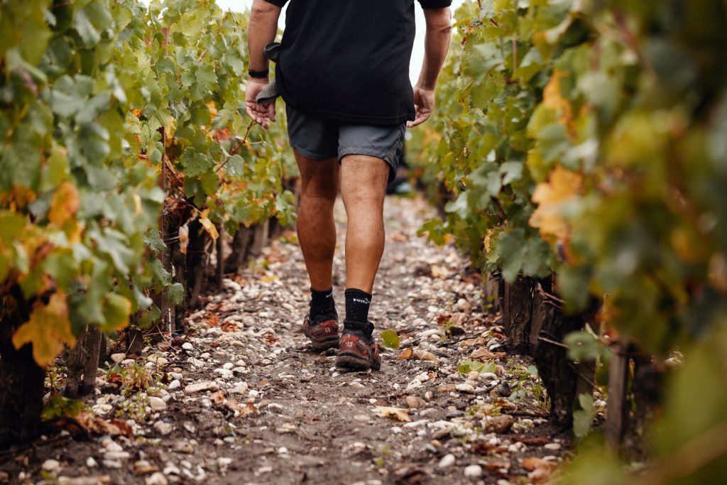 Château Brane-Cantenac is housed on some of the finest terroir in Margaux.