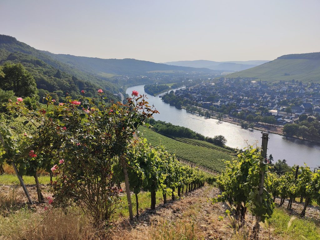 A sweeping view over Bernkastel-Kues, one of the Mosel’s most picturesque wine villages.