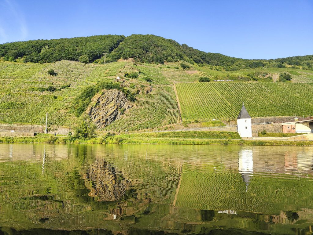 High above the Mosel: the historic slopes of Trittenheim's Apotheke vineyard.