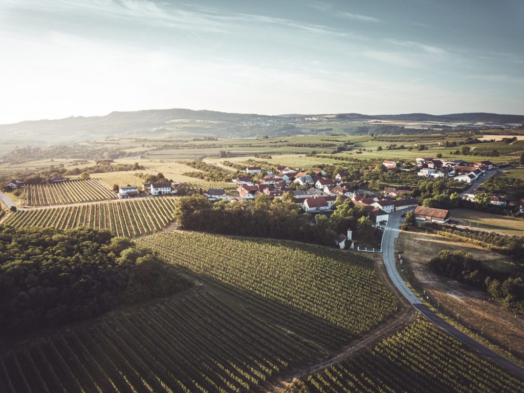 Weingut Geyerhof in the Kremstal.