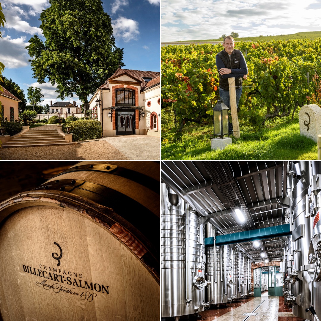 Champagne Billecart-Salmon.